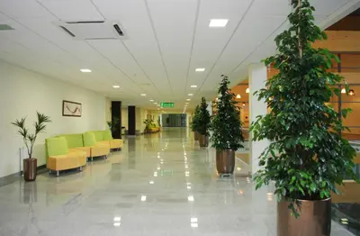 a hallway with potted trees and chairs in a building at Medical SPA 