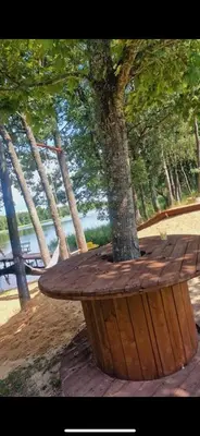a wooden table with a tree in a park at Čičirio krantas in Vėdariai