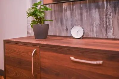 a mirror on top of a wooden dresser with a plant at Modern I Penthouse Apt w - AC I Cohost in Vilnius