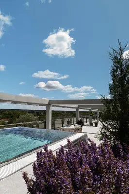 a view of a swimming pool with purple flowers at Aparthotel Nemunas in Druskininkai