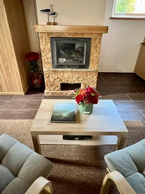 a living room with a fireplace and a coffee table at Apartamentai Jurbarko centre in Jurbarkas