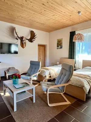 a bedroom with a bed and two chairs and a table at Apartamentai Jurbarko centre in Jurbarkas