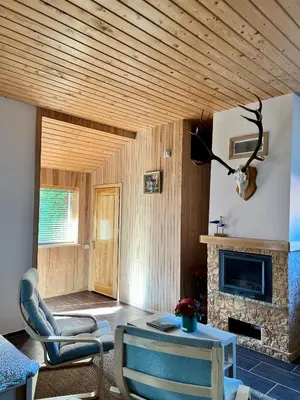 a living room with a wooden ceiling and a fireplace at Apartamentai Jurbarko centre in Jurbarkas