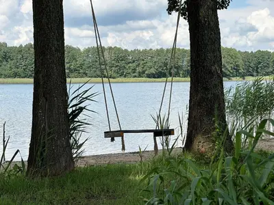a swing hanging between two trees next to a lake at Lake Garden Villa in Sadžiūnai
