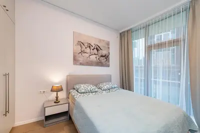 a bedroom with a bed and a window at Sun Sonata Apartments 1 in Druskininkai