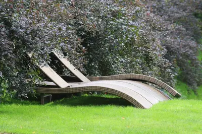 a bench sitting in the grass next to a bush at Kernavės Pajauta in Kernavė