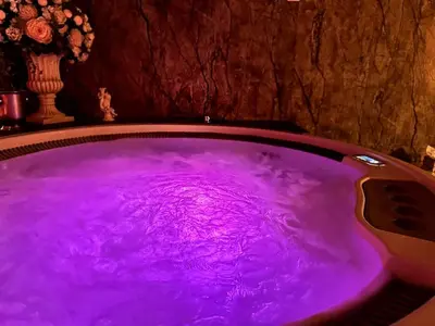 a purple tub in a room with a vase at Apartment Host 4 in Kaunas