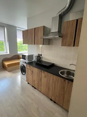 a kitchen with a sink and a washing machine at Apartamentai 1 in Raseiniai