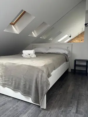 a bedroom with a large bed in a attic at Marvelės 30 Lofts in Kaunas