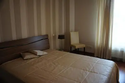 a bedroom with a large bed and a window at Lyra Apartments in Druskininkai