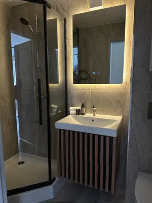 a bathroom with a sink and a shower and a mirror at Dvaro central studio in Šiauliai