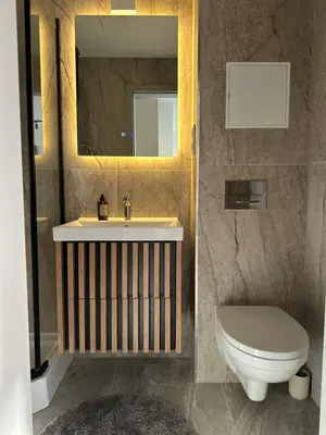 a bathroom with a sink and a toilet and a mirror at Dvaro central studio in Šiauliai