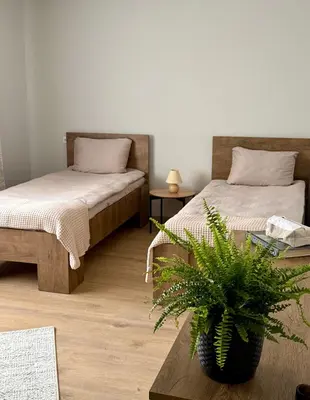 a bedroom with two beds and a potted plant at Lake Town apartments in Zarasai