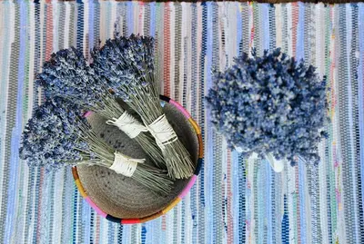two dried flowers in a bowl on a rug at Briedžio sapnas in Sudervė