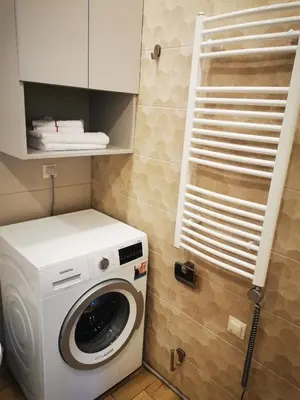 a washer and dryer in a small bathroom at Saulės Sonata apartamentai 5 in Druskininkai