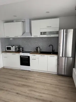 a kitchen with white cabinets and stainless steel appliances at Florina namai in Marijampolė