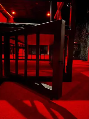a red room with a red carpet and red lights at Oscuro Deseo BDSM in Kaunas