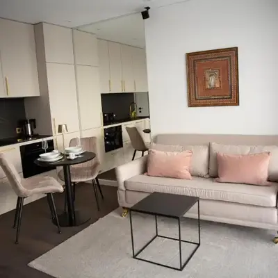 Brand new luxurious apartment in Vilnius center