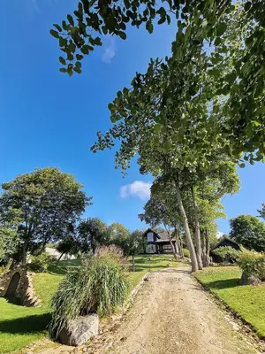 a dirt road in front of a house with a tree at Provance style villa in regional park! in Šilėnai
