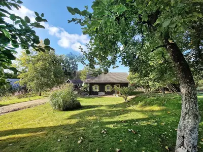 a house in a yard with a tree at Provance style villa in regional park! in Šilėnai