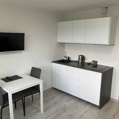 VILNIUS apartment with balcony