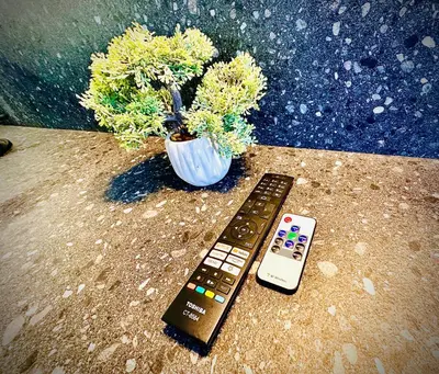 a remote control sitting next to a potted plant at M&M Apartment III SELF CHECK-IN in Panevėžys