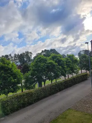 a road in a park with trees and bushes at Šiluvos piligrimų centras in Šiluva