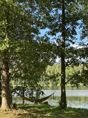 a hammock hanging between two trees near a lake at Glamp Juodis in Ubiškės