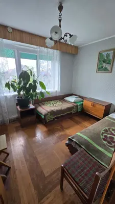 a living room with a couch and a plant at Pas Povilą in Jurbarkas