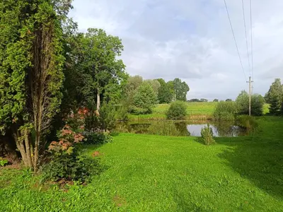 a grassy yard with a pond in the background at Kaimo turizmo sodyba