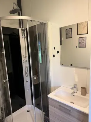a bathroom with a shower and a sink and a mirror at Forest Resort house