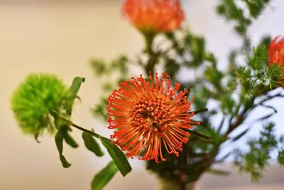 an orange flower in a vase with other flowers at Domillion 2bdr 2bath on Vokieciu w parking V1020A in Vilnius