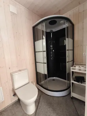 a bathroom with a toilet and a glass shower at Gervių takas 2