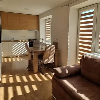 Vytautas central apartament