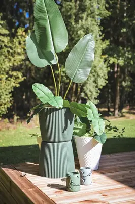 a vase with a plant in it on a table at Forest Resort House