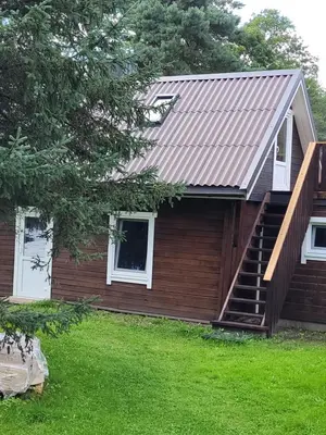 a log cabin with a metal roof and stairs at Šeimos namelis nr2-Mindūnų sodyba in Pakopi