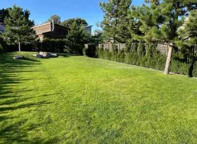 a large yard with green grass and a fence at sf ghjk in Užliedžiai