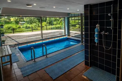 a swimming pool in a bathroom with a view at Romuvos Parkas in Zalioji