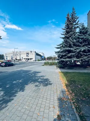 a tree on the side of a street at 69 apartaments II in Panevėžys