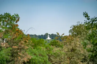 a white monument in the midst of trees at Vokieciu st Apt with Balcony I In the Center of it All I cohost in Vilnius