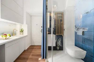 a bathroom with a toilet and a glass shower at Blue Old Town apartment in Vilnius
