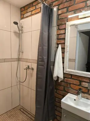 a bathroom with a shower and a sink at Studio 2 in Utena