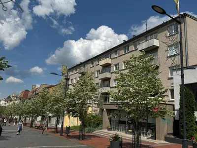 a building on the side of a street with trees at Central apartament II in Šiauliai
