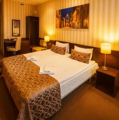 a bedroom with a large bed in a room at Vilnius Hotel in Vilnius
