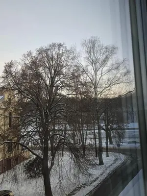 a view of a tree from a window at Santakos apartmentai in Kaunas