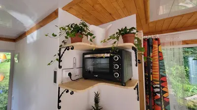 a tv on a shelf in a room with plants at Houseboat Vilnius in Vilnius