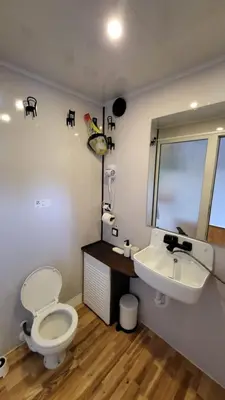 a bathroom with a toilet and a sink at Houseboat Vilnius in Vilnius