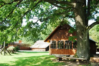 a wooden barn with a tree and a bench at Kaimo turizmo sodyba Kukarskė in Kiduliai