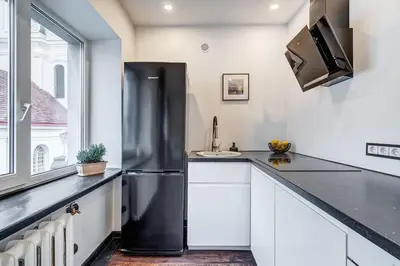 a black refrigerator in a kitchen with a window at Domillion 1bdr Dominikonu str apt Do333 in Vilnius