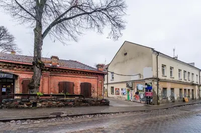 a street with buildings and a tree on a street at Domillion 1bdr brand-new Uzupis apt w free parking in Vilnius
